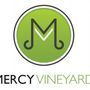 Mercy Vineyard Church - Moline, Illinois