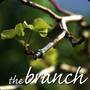 The Branch - Grand Rapids, Michigan