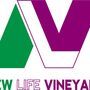 New Life Vineyard Church - Hamilton, Ohio