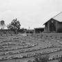 Pax Christi - Littleton, Colorado