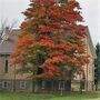 Cavan United Church - Seaforth, Ontario