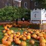 Carter Memorial United Methodist Church - Needham, Massachusetts