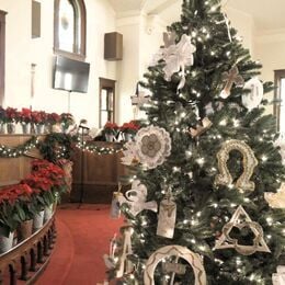 The sanctuary decorated for Christmas