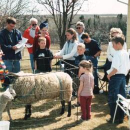 Centennial Celebrations 2008 - bless this sheep