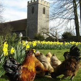 All Saints, Barrow, Suffolk, United Kingdom