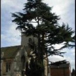 Holy Trinity, Eckington, Worcestershire, United Kingdom