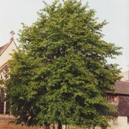 St Paul the Apostle Paddington, Salford, Greater Manchester, United Kingdom