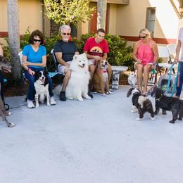 Blessing of the Animals