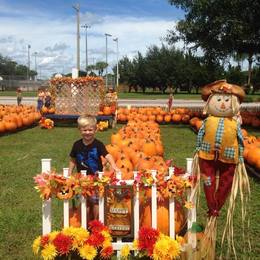 The Pumpkin Patch 2015