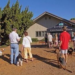 Blessing of Animals 2014-02