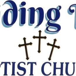 Church Logo 2024