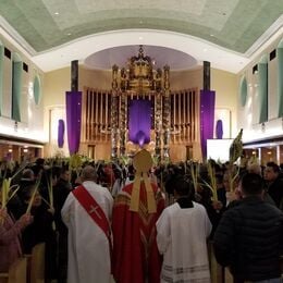 Palm Sunday 2019 at OLM