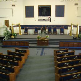 MSTCOG Sanctuary