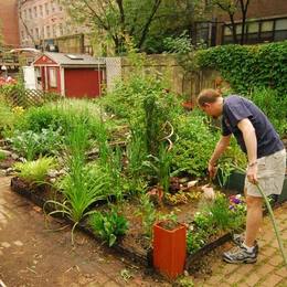 Gardeners working in the Spiritual Gardens