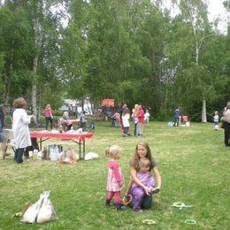 Wolverine Park Carnival 2013