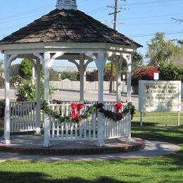 Hanging of the Christmas greens