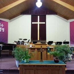 The sanctuary