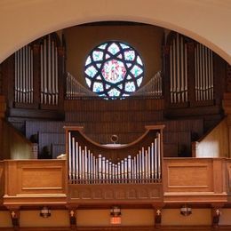 The organ