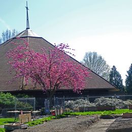 Christ the King, Milwaukie, Oregon, United States