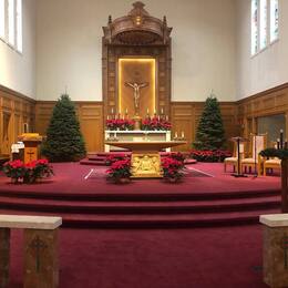 The sanctuary decorated for Christmas