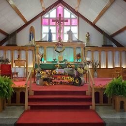 The sanctuary