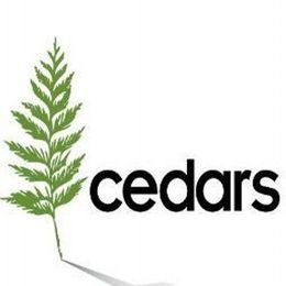 Cedars Church, Stowmarket, Suffolk, United Kingdom