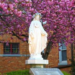 Immaculate Heart of Mary Parish, Brooklyn, New York, United States