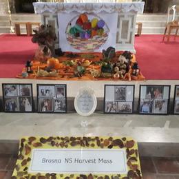 Harvest Mass in Brosna