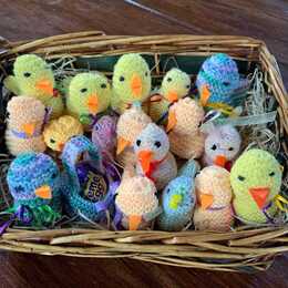 Easter chicks 2024