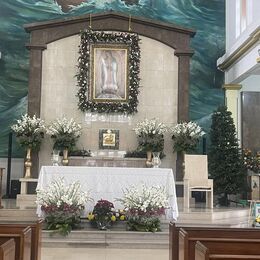 Otro año más poniendo el  pino de navidad en la Iglesia de Nuestra Señora de Guadalupe