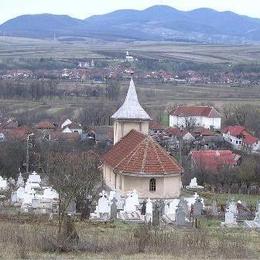 Barcea Mica Orthodox Church, Barcea Mica, Hunedoara, Romania