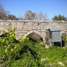 Saint Fotios Orthodox Monastery, Miliou, Pafos, Cyprus