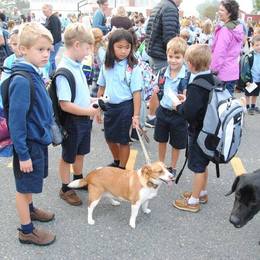 2016 Pet Blessing