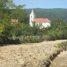 Saracsau Orthodox Church, Saracsau, Alba, Romania