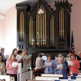 The organ