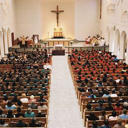 Visit of the Relic of St. Therese