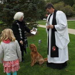 Blessing of the Animals