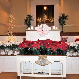 The sanctuary at Christmas