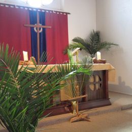 Palm Sunday 2014