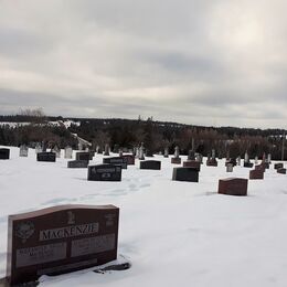 Hartsville Presbyterian Church Cemetery - photo courtesy of Kevin Conrick