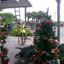 Beautifying Kerikeri for Christmas