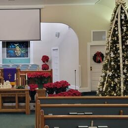 The sanctuary decorated for Christmas (2022)