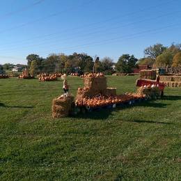 Fantastic fall day at The CFC Pumpkin Patch