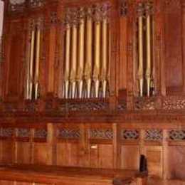 The Organ