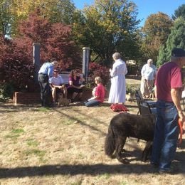 Blessing of the Animals October 4, 2015