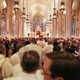 Sunday mass at Cathedral Basilica of Christ the King Hamilton