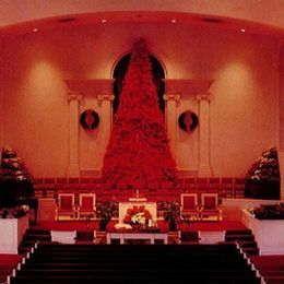 The poinsettia tree in the sanctuary