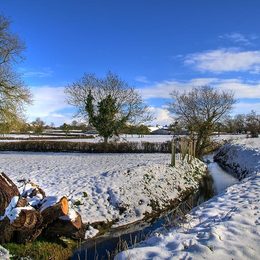 Scenes of Martock by Pastor Chris Spracklen