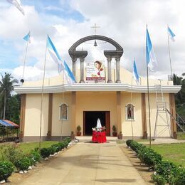 Our Lady of Rosa Mystica Parish, Tinambac, Camarines Sur, Philippines