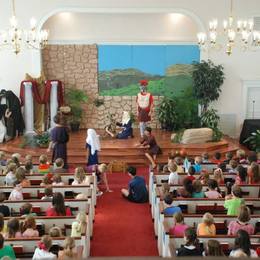 VBS 2013